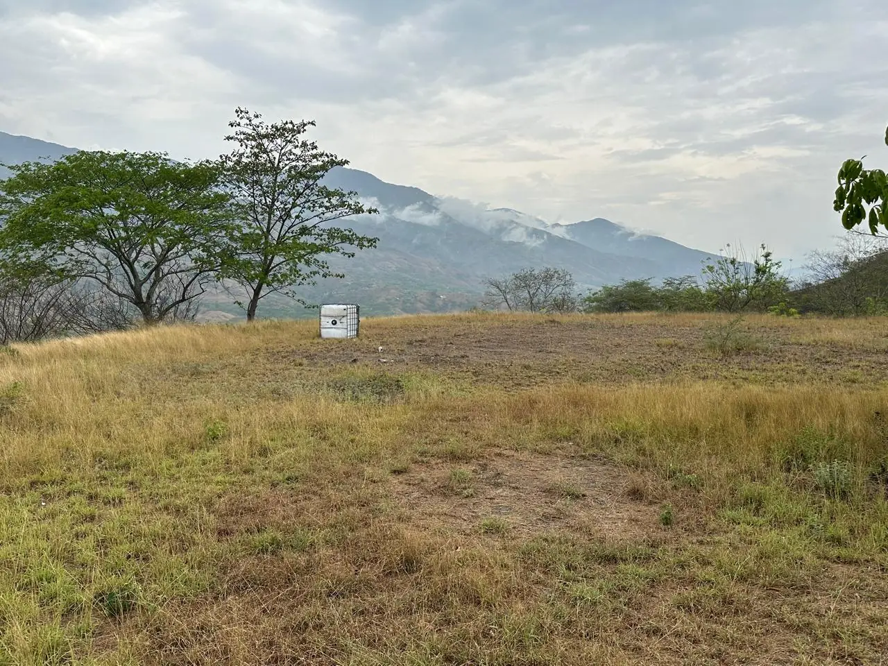 Lote plano con pasto y árboles nativos, montañas de Santa Fe de Antioquia al fondo
